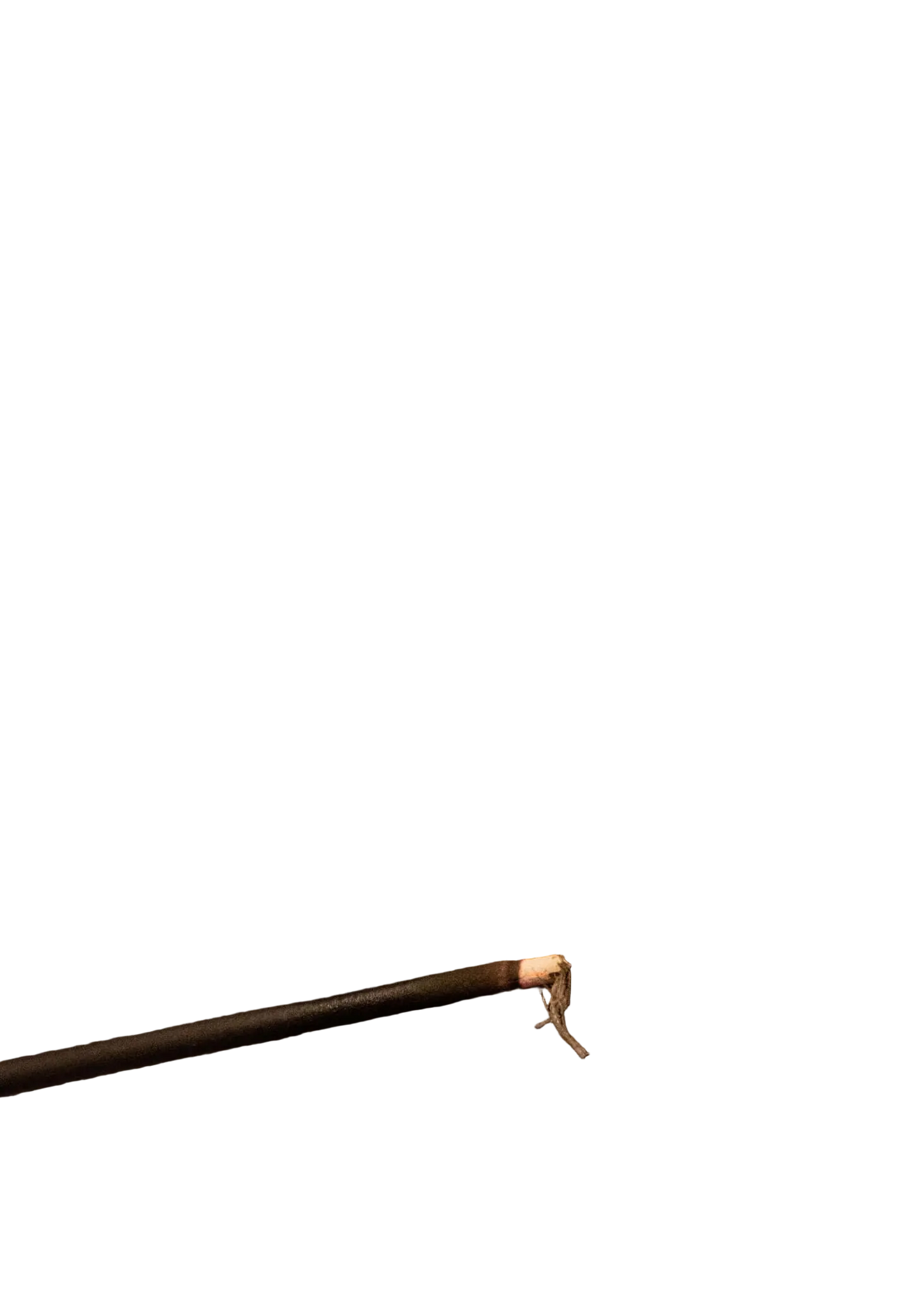 Citrus Incense Sticks