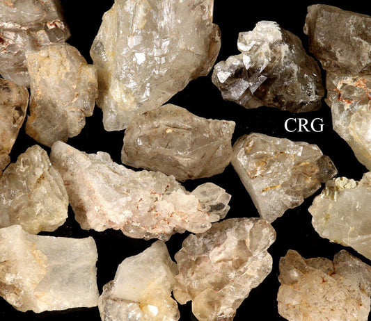 Elestial Alligator Included Quartz (1 to 3 Inches)